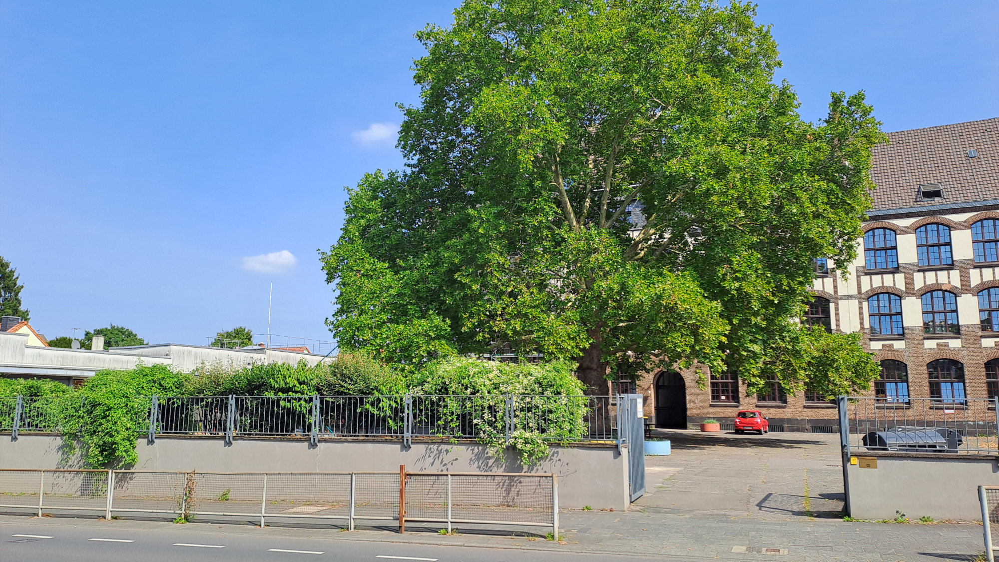 Koeln Muengersdorf
